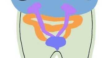 ǰ׳ʲôҩ