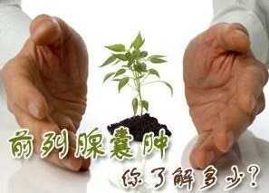 ǰ